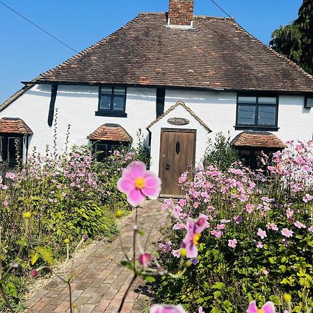 Local Walks Pub Gardens Pet Friendly Landscaped Gardens And Free Private Parking Villa Doddington  Kültér fotó
